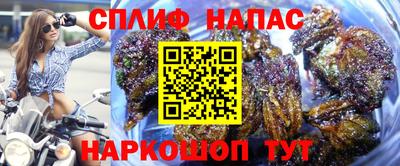 гидра Кулебаки
