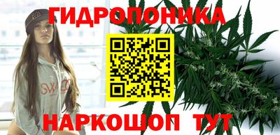 ГАЛЛЮЦИНОГЕННЫЕ ГРИБЫ Кунгур