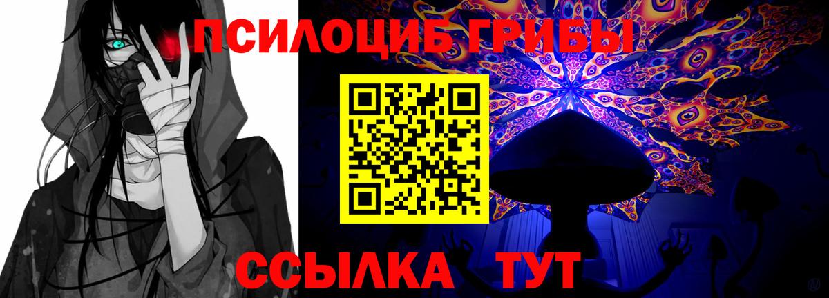 Псилоцибиновые грибы Magic Shrooms  Вход с VPN  Донской 